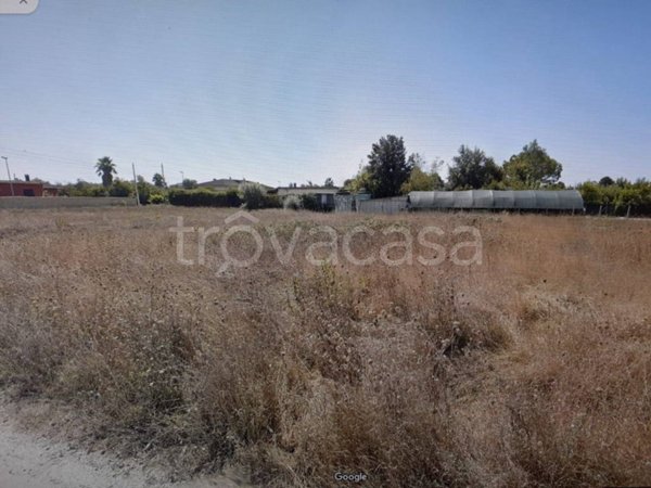 terreno agricolo in vendita a Cisterna di Latina in zona Sant'Ilario