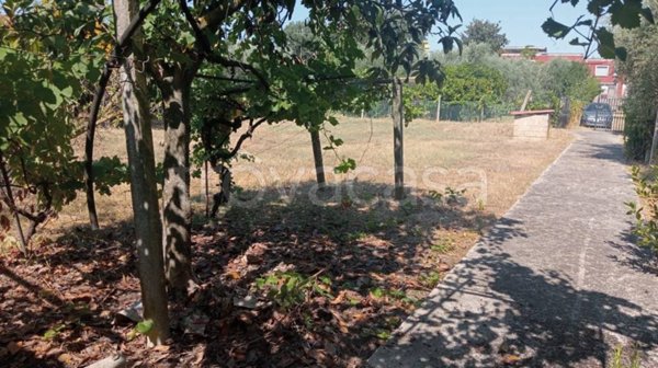 terreno agricolo in vendita a Cisterna di Latina