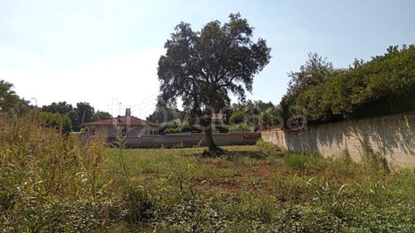terreno agricolo in vendita a Cisterna di Latina