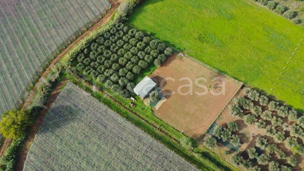 terreno agricolo in vendita a Cisterna di Latina