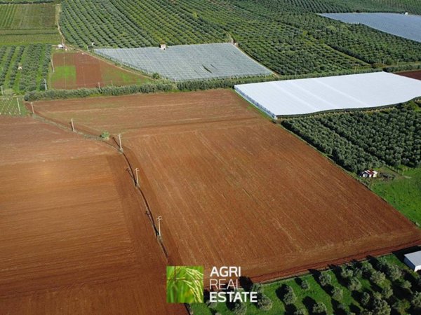 terreno agricolo in vendita a Cisterna di Latina