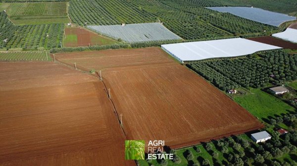 terreno agricolo in vendita a Cisterna di Latina