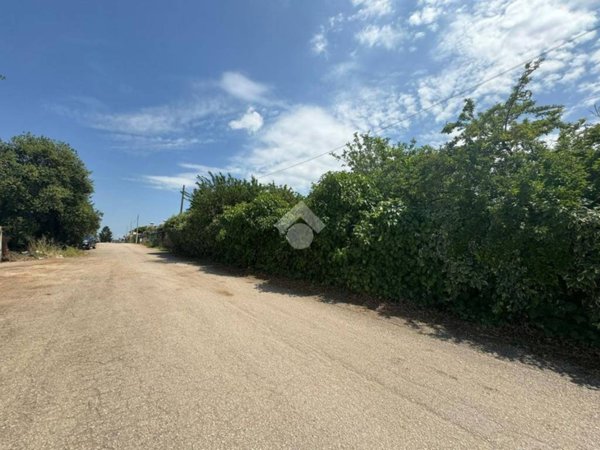 terreno agricolo in vendita a Cisterna di Latina