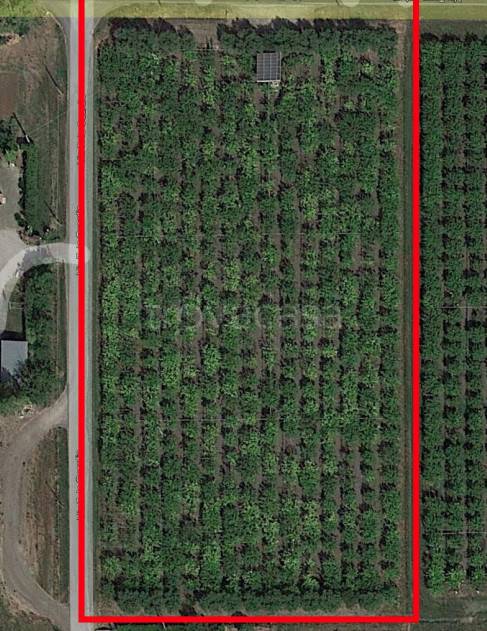 terreno agricolo in vendita a Cisterna di Latina