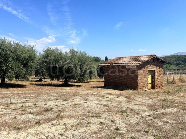 terreno agricolo in vendita a Cisterna di Latina in zona Castel Ginnetti