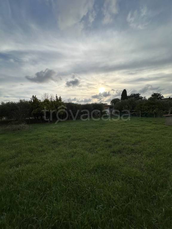 terreno agricolo in vendita a Cisterna di Latina