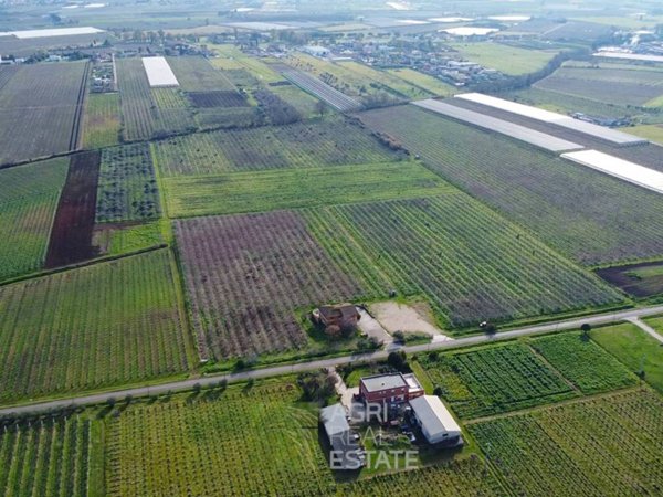 terreno agricolo in vendita a Cisterna di Latina