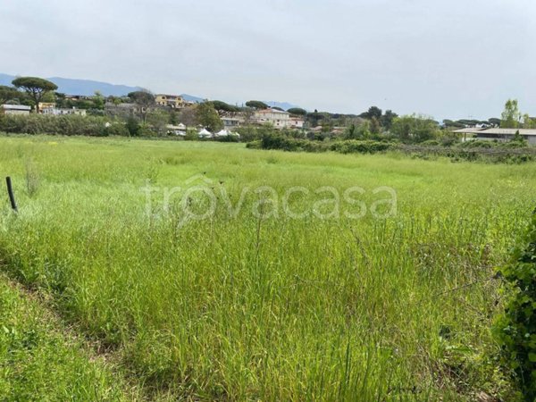 terreno agricolo in vendita a Cisterna di Latina