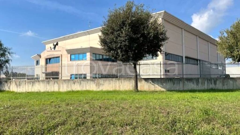capannone in vendita a Cisterna di Latina