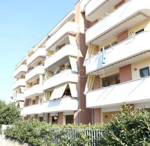 appartamento in vendita a Cisterna di Latina