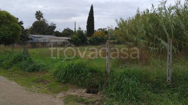 terreno agricolo in vendita a Cisterna di Latina in zona Sant'Ilario