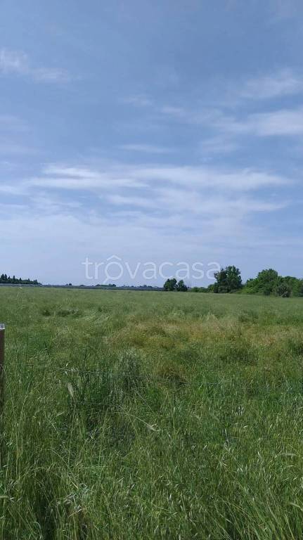azienda agricola in vendita a Cisterna di Latina in zona Olmobello
