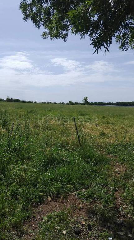 azienda agricola in vendita a Cisterna di Latina in zona Olmobello