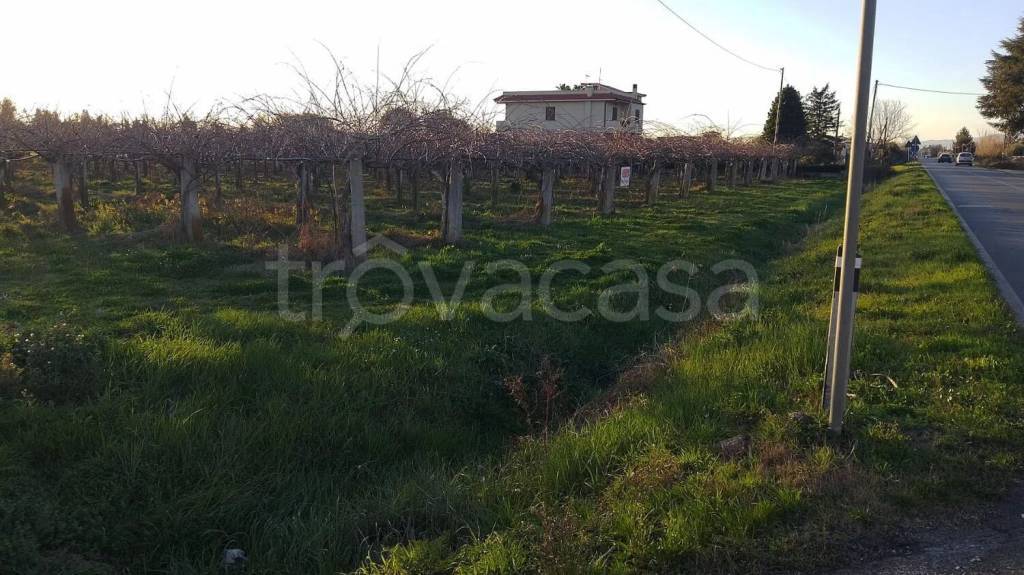 terreno agricolo in vendita a Cisterna di Latina
