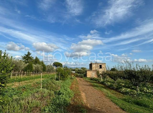 terreno agricolo in vendita a Cisterna di Latina in zona Le Castella