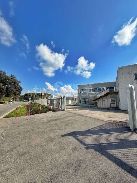 negozio in vendita a Cisterna di Latina