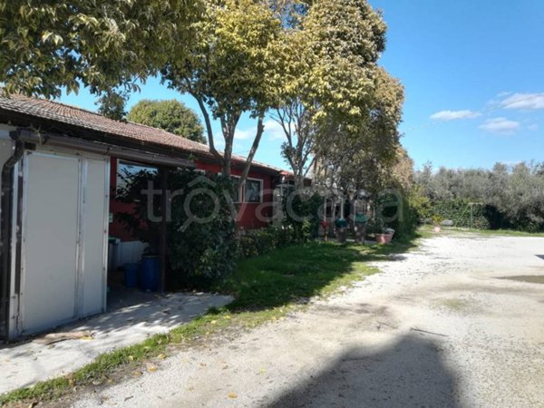 trivano in vendita a Cisterna di Latina in zona Borgo Flora