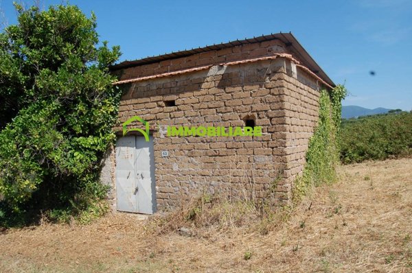 terreno agricolo in vendita a Cisterna di Latina