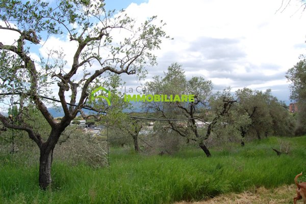 terreno agricolo in vendita a Cisterna di Latina in zona Le Castella