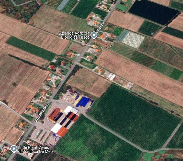 appartamento in vendita a Cisterna di Latina in zona Prato Cesarino