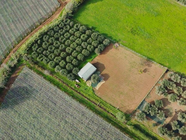 terreno agricolo in vendita a Cisterna di Latina