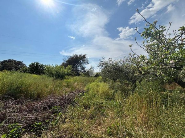 terreno agricolo in vendita a Cisterna di Latina