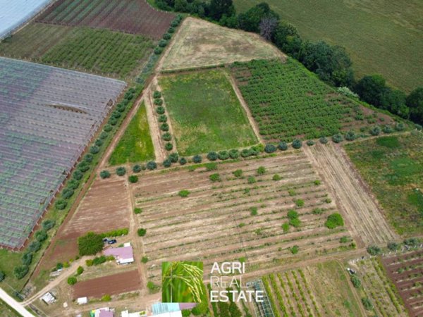 terreno agricolo in vendita a Cisterna di Latina