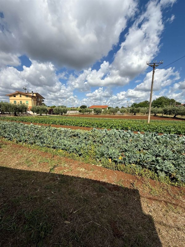 terreno agricolo in vendita a Cisterna di Latina