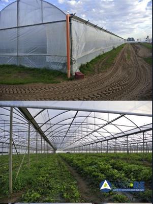 terreno agricolo in vendita a Cisterna di Latina
