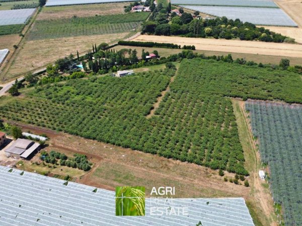 terreno agricolo in vendita a Cisterna di Latina