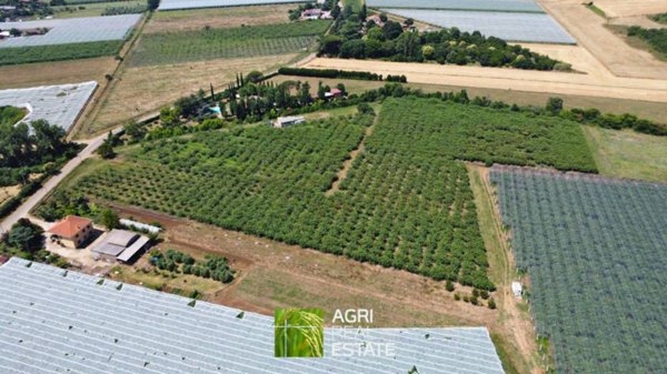 terreno agricolo in vendita a Cisterna di Latina