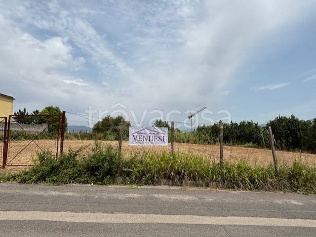 terreno agricolo in vendita a Cisterna di Latina