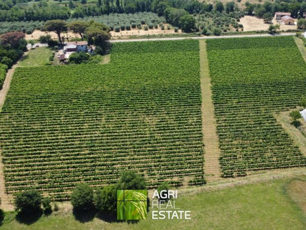 terreno agricolo in vendita a Cisterna di Latina