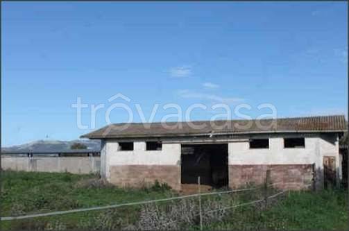 terreno agricolo in vendita a Cisterna di Latina