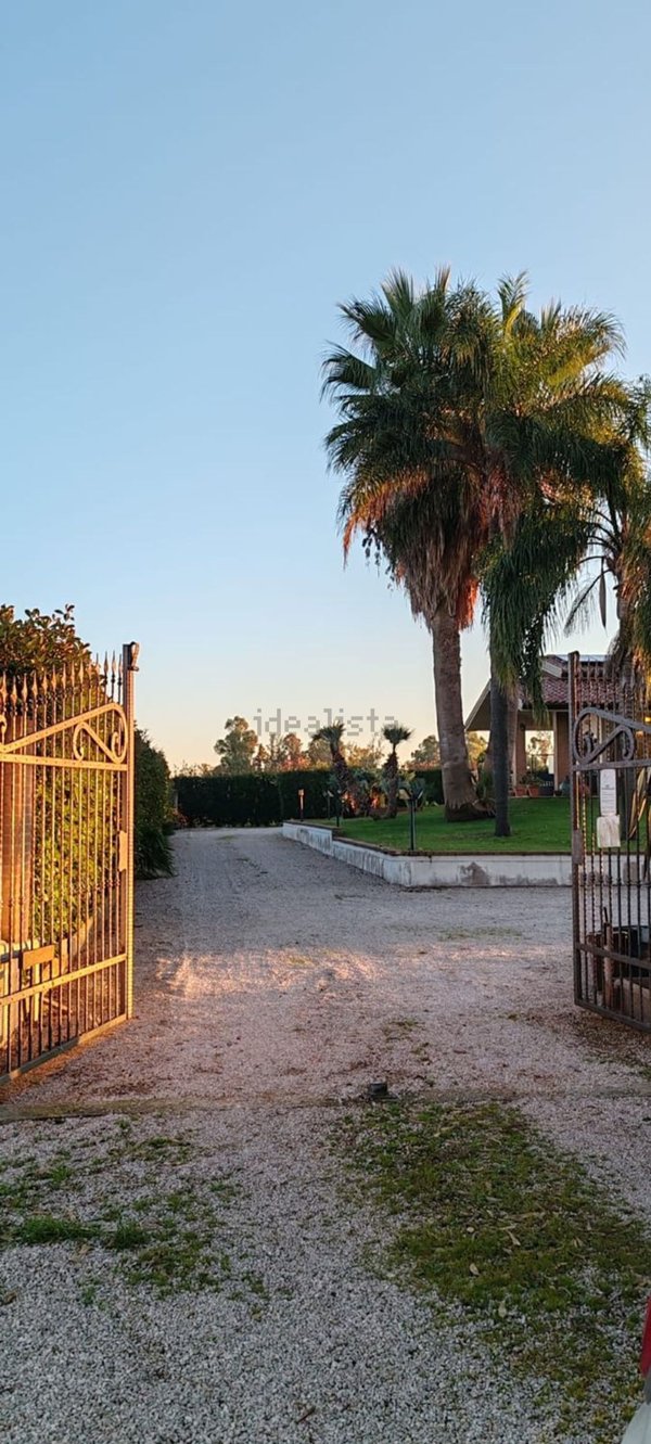 casa indipendente in vendita a Cisterna di Latina in zona Prato Cesarino
