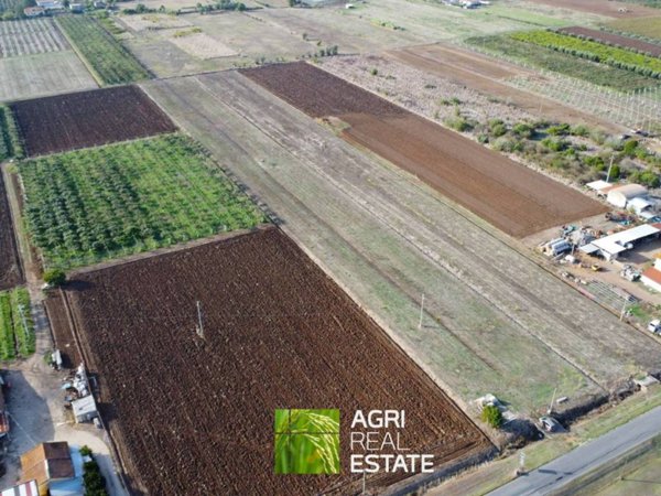 terreno agricolo in vendita a Cisterna di Latina