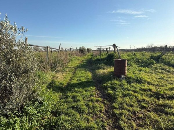terreno agricolo in vendita a Cisterna di Latina