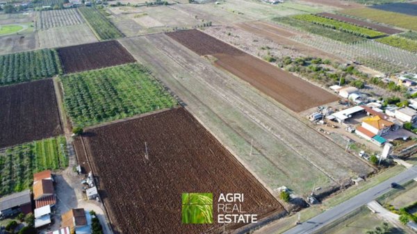 terreno agricolo in vendita a Cisterna di Latina