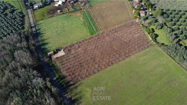 terreno agricolo in vendita a Cisterna di Latina