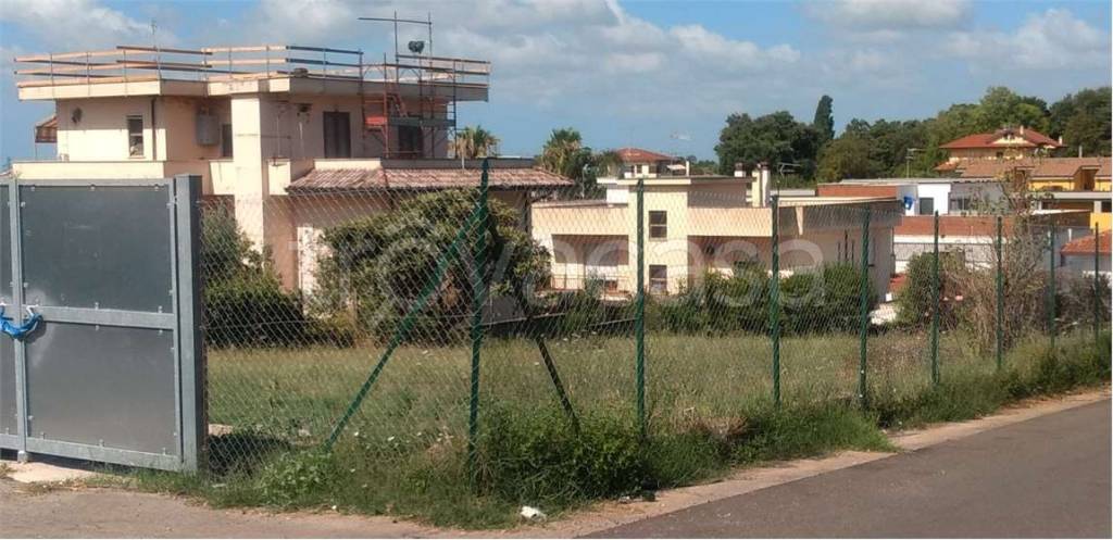 terreno agricolo in vendita a Cisterna di Latina