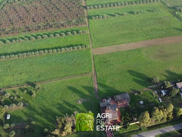 terreno agricolo in vendita a Cisterna di Latina in zona Prato Cesarino