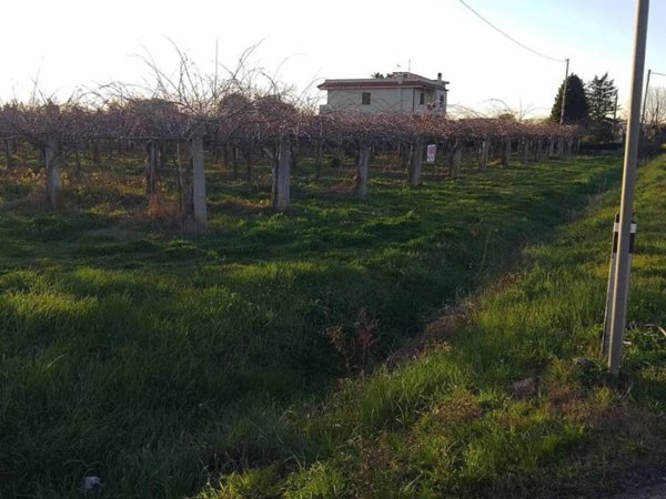 terreno agricolo in vendita a Cisterna di Latina