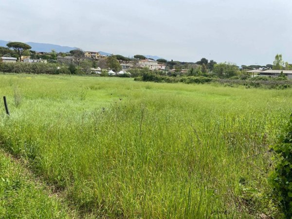 terreno agricolo in vendita a Cisterna di Latina