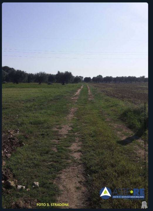 ufficio in vendita a Cisterna di Latina in zona Prato Cesarino