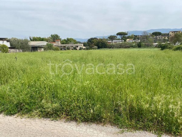 terreno agricolo in vendita a Cisterna di Latina