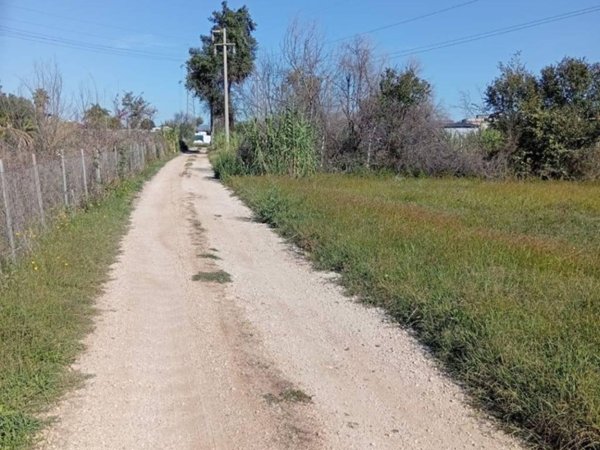 terreno agricolo in vendita a Cisterna di Latina