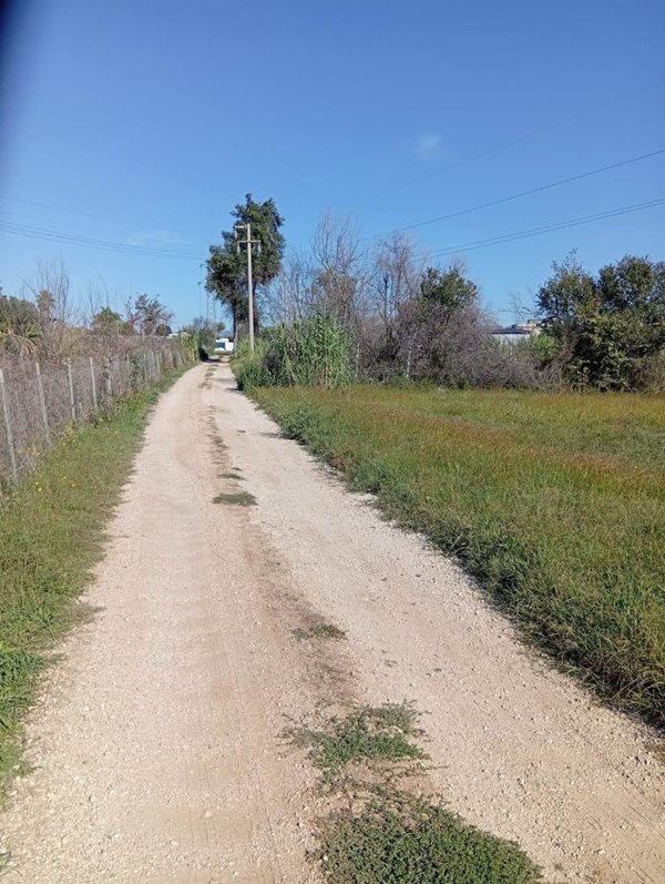 terreno agricolo in vendita a Cisterna di Latina
