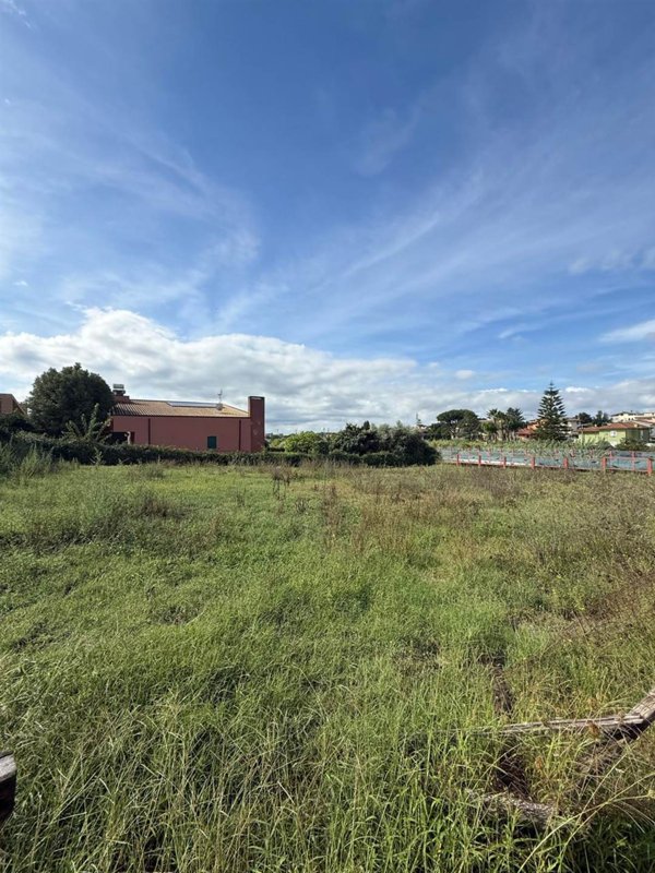 terreno agricolo in vendita a Cisterna di Latina