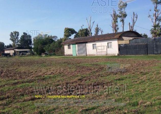 terreno agricolo in vendita a Cisterna di Latina in zona Prato Cesarino