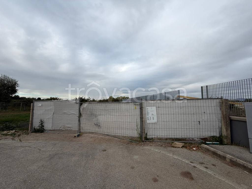 terreno agricolo in vendita a Cisterna di Latina